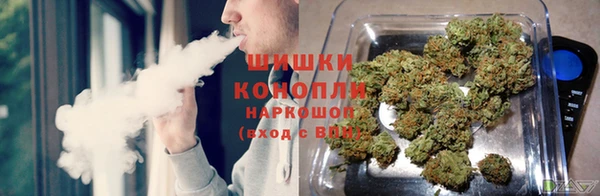 гидра Заводоуковск