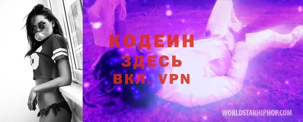 гидра Заводоуковск