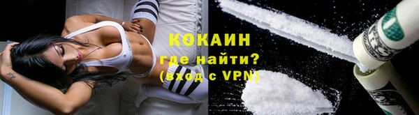 гидра Заводоуковск