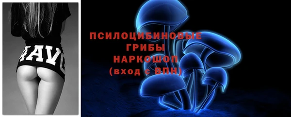 МДПВ Заволжск