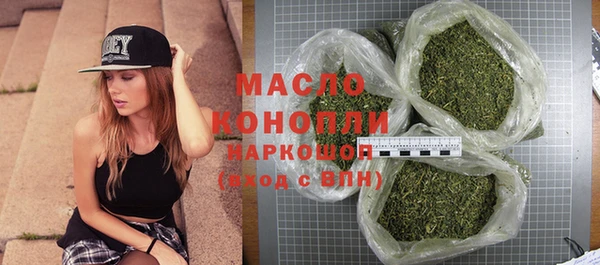 гидра Заводоуковск