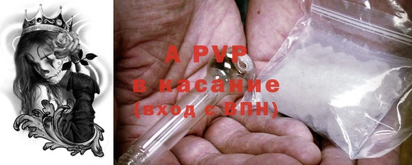 гидра Заводоуковск