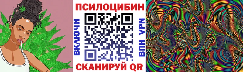 Купить  Лениногорск  Псилоцибиновые грибы Psilocybine cubensis 